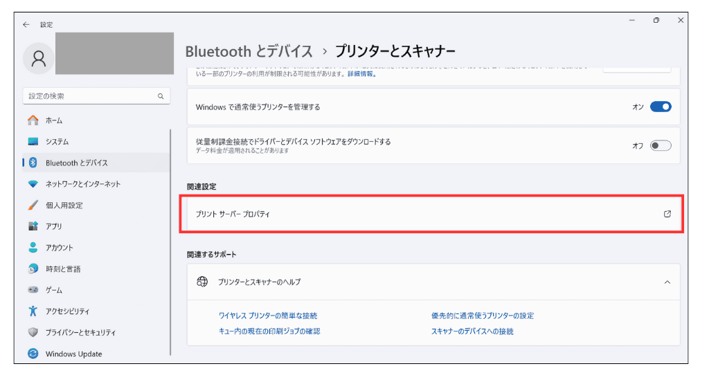 Windows11 プリント サーバー プロパティ